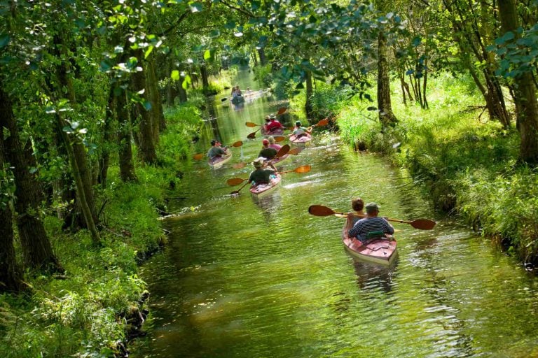Activities to get you moving this summer