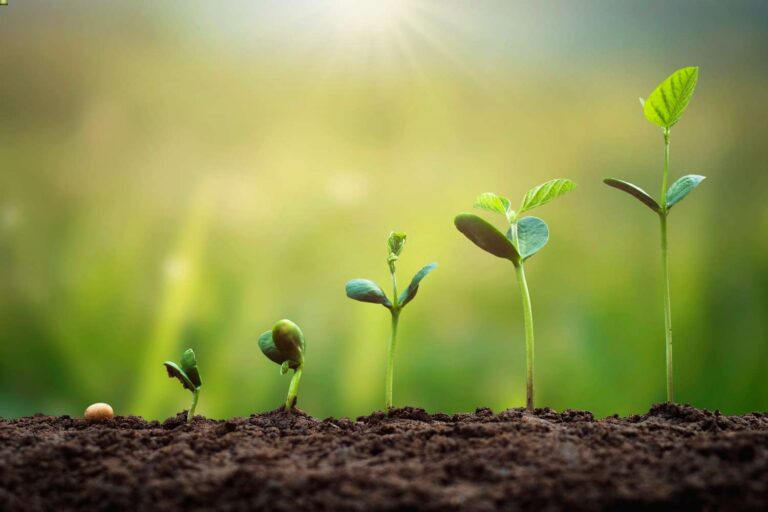 Six ways to turbocharge your pension in 2025