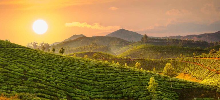 8 fascinating tours where you can really get to know a country
