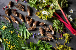 11 foraged food recipes