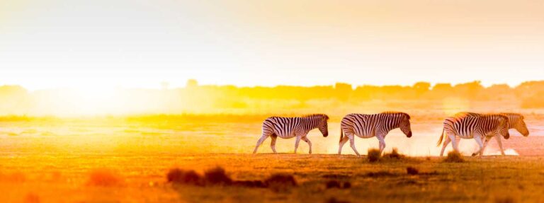 From Arctic to Equator - 11 amazing adventures for every season