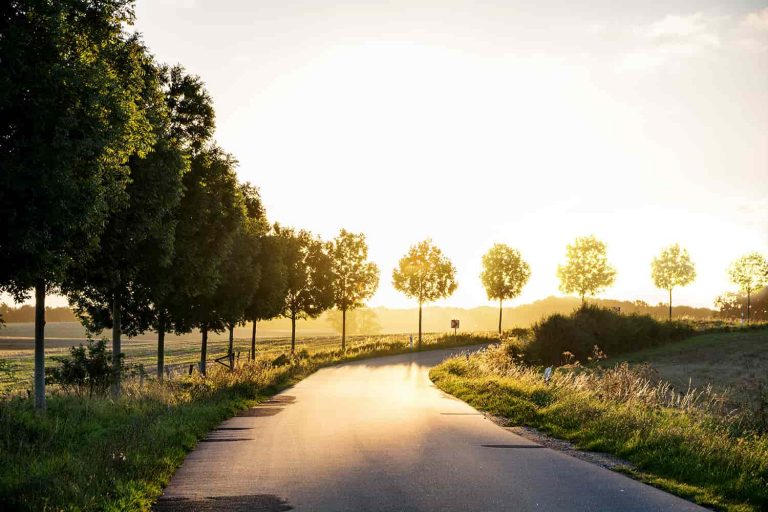 Is phased retirement a good idea?