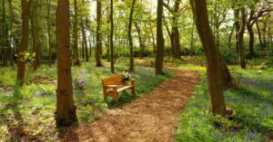How living memorial parks are transforming the way we remember loved ones