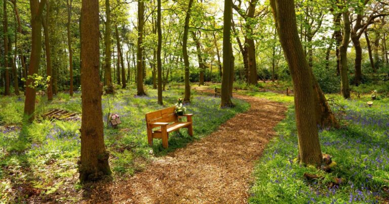 How living memorial parks are transforming the way we remember loved ones