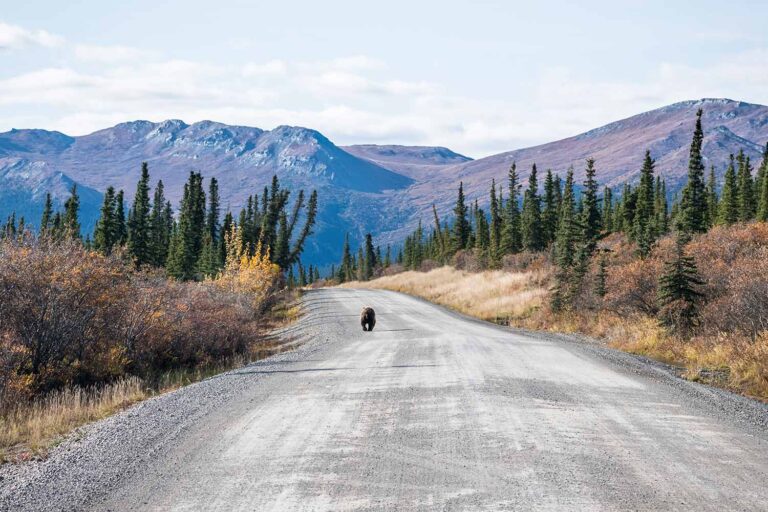 7 lesser-known natural wonders to explore in North America