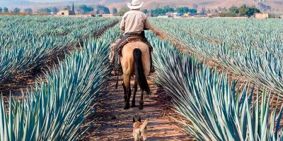 mexico
