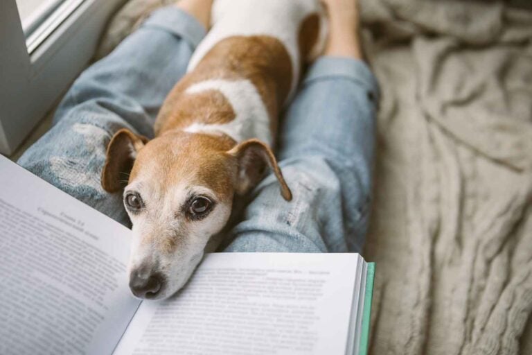 Monthly book reviews – murder mysteries, a picture book, and your chance to win