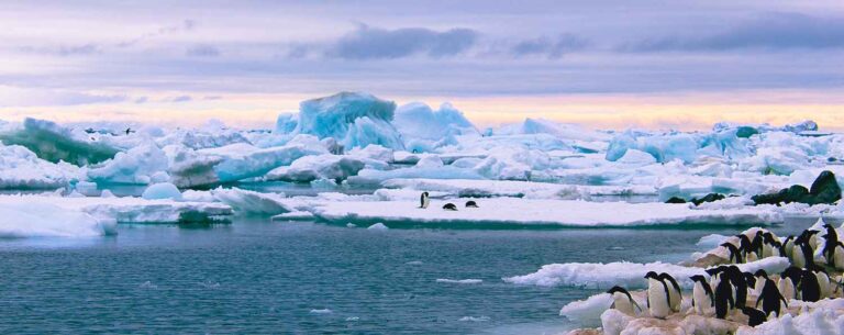 10 reasons why a Polar cruise should be on your bucket list