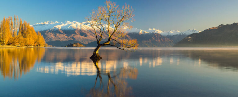 9 reasons why New Zealand is the perfect holiday destination for nature lovers