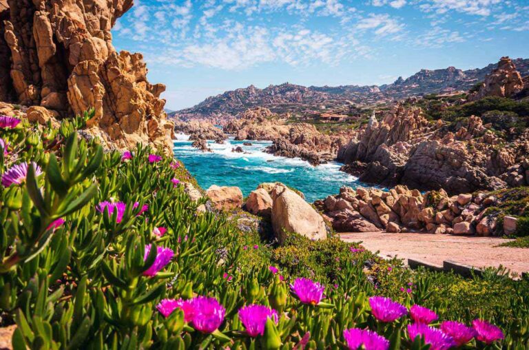 12 spring tours among blossoming landscapes