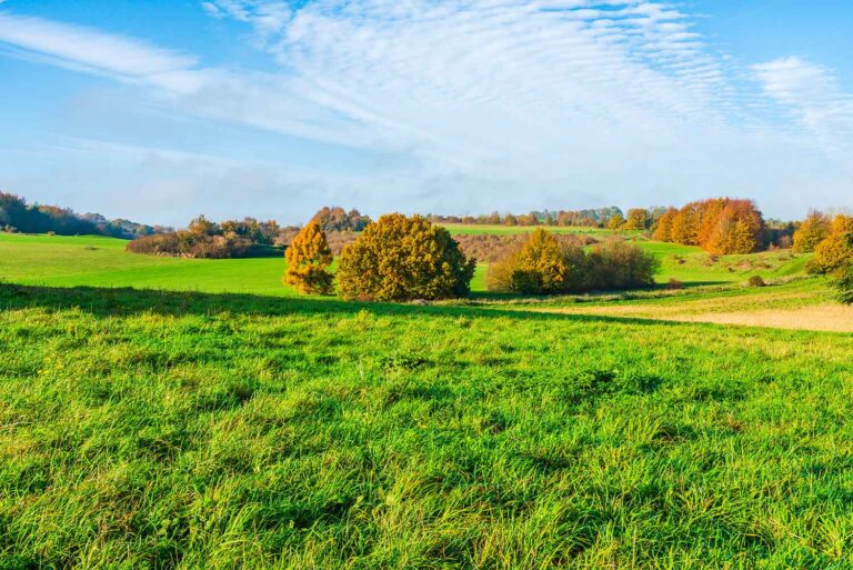 8 of the best country parks in the UK