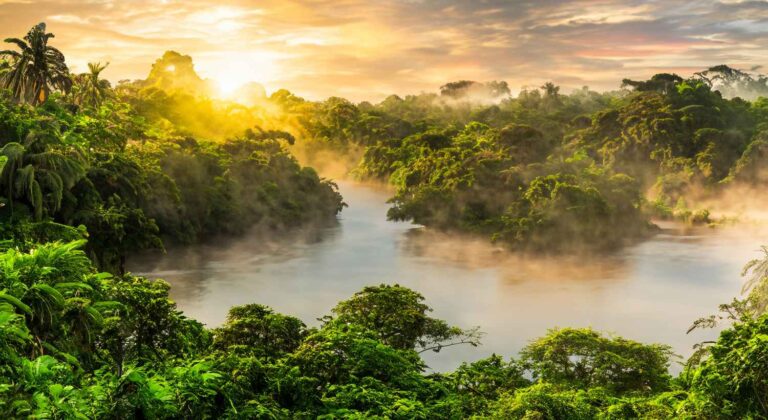 10 of the best things to do in the Amazon rainforest