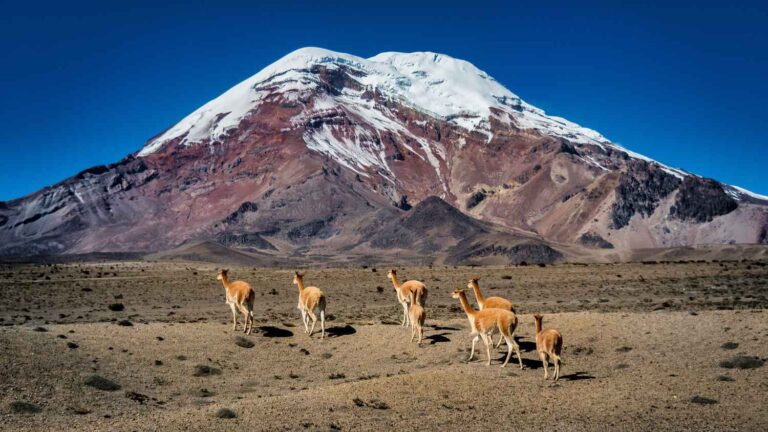 10 of the best things to see and do in Ecuador and the Galapagos Islands