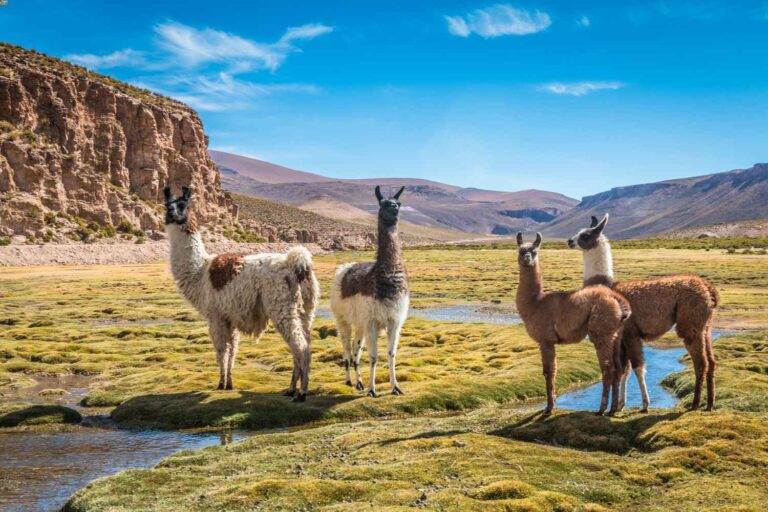 14 of the best travel destinations to visit in April