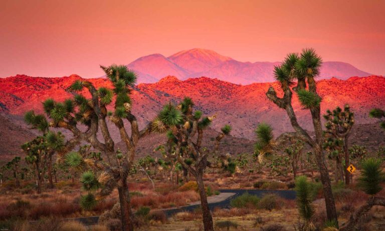 10 of the best US national parks