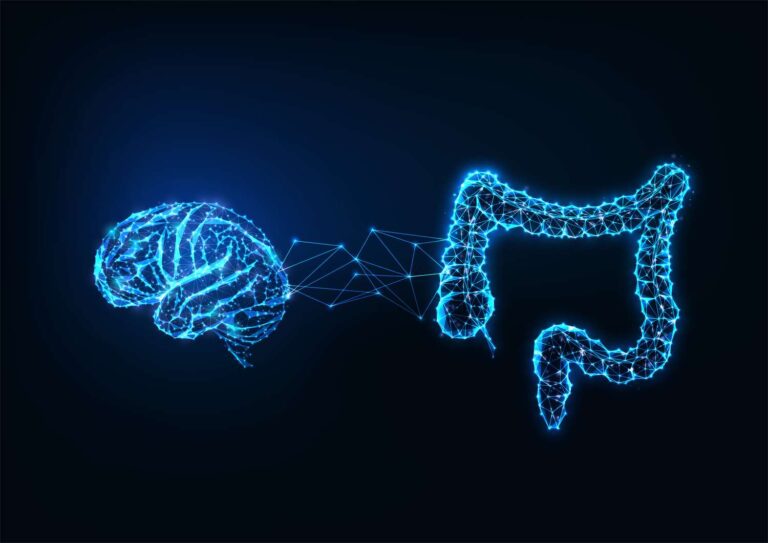 The gut-brain connection – what is it and how does it relate to health?