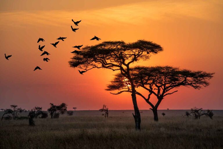 23 of the most beautiful places on Earth
