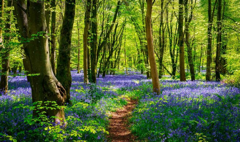 12 things to do and places to visit in April in the UK