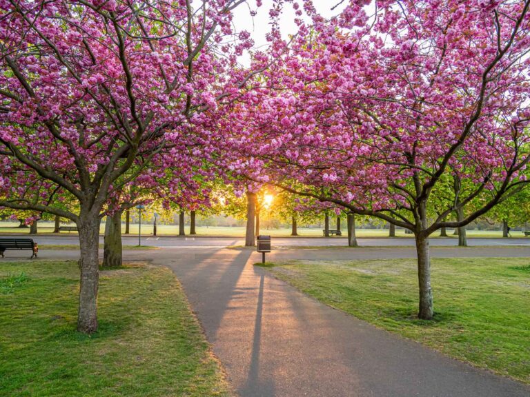 things to do and places to visit in the UK in March