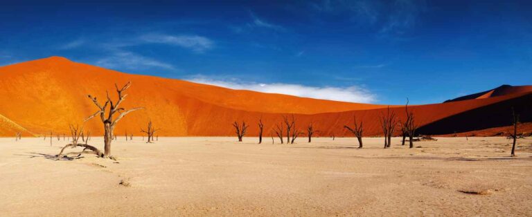 9 unmissable things to see and do in Namibia